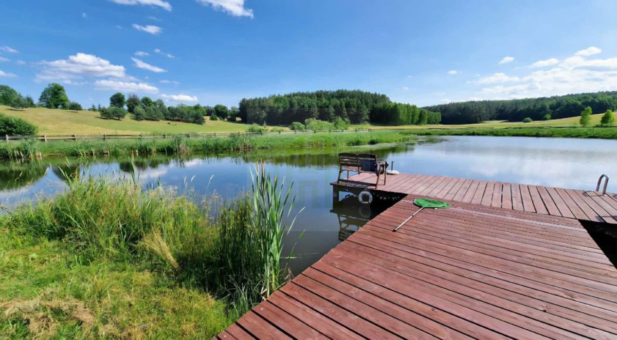 dom wolnostojący, 14 pokoi Rychnowska Wola. Zdjęcie 10