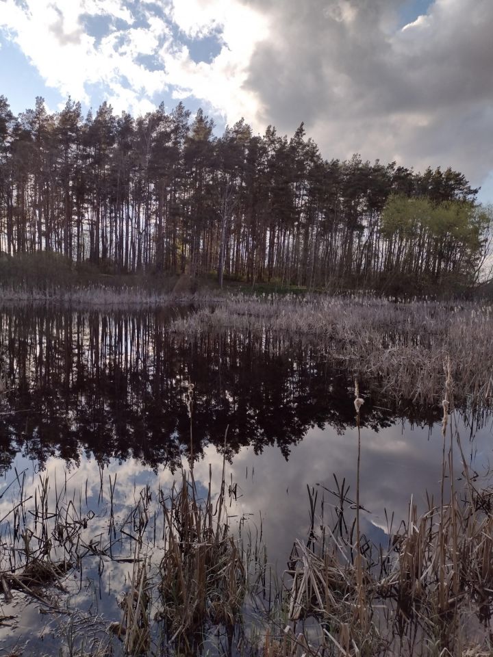 Działka budowlana Łąg, ul. Dworcowa. Zdjęcie 9