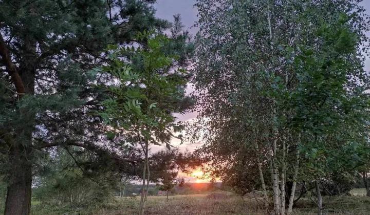 Działka budowlana Wysoka Głogowska