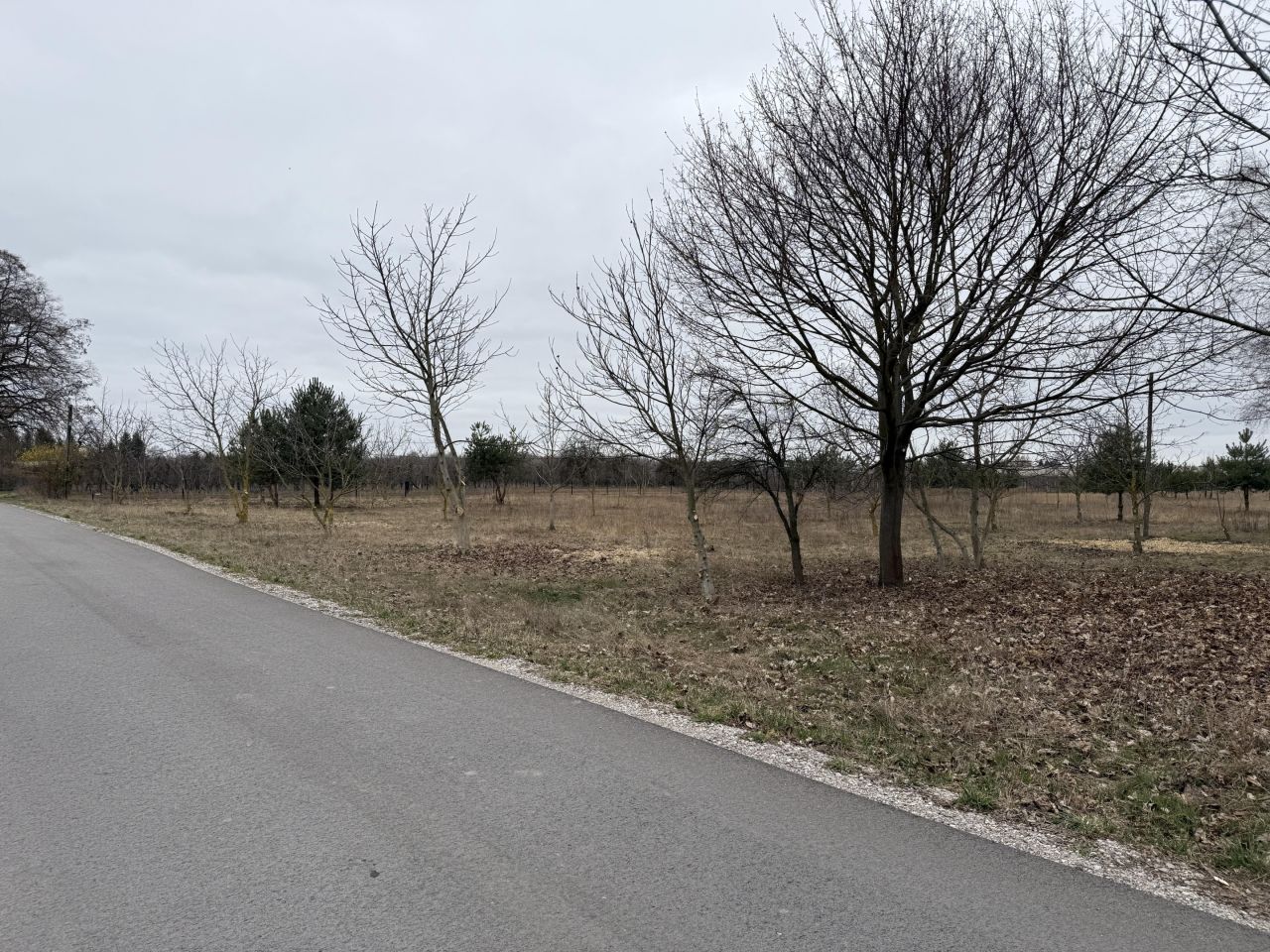 Działka inna Chrzczonowice. Zdjęcie 4