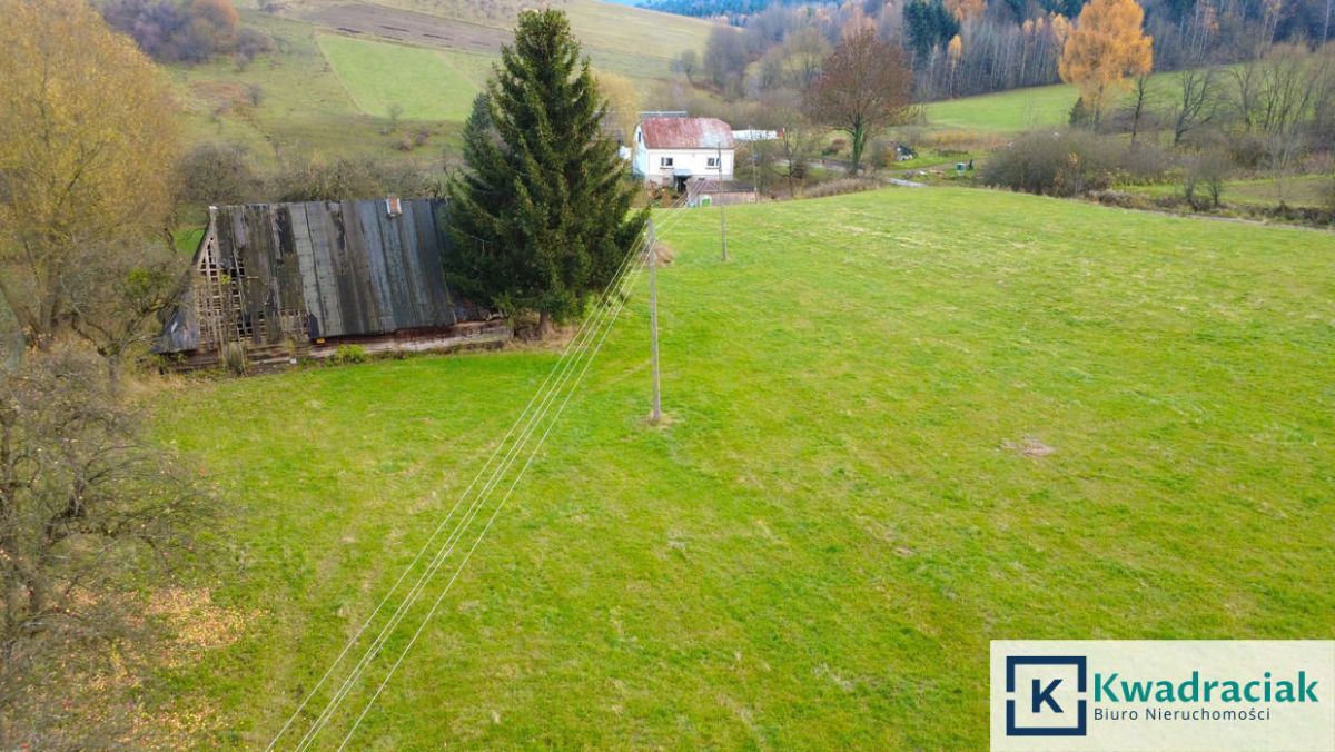 Działka rolna Nowosielce Kozickie. Zdjęcie 2