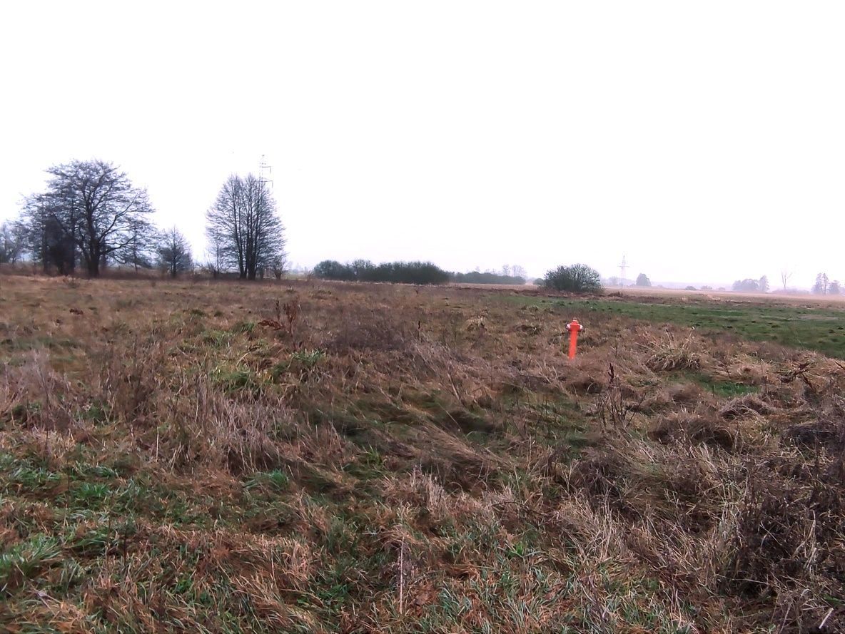 Działka budowlana Kruszyn Krajeński. Zdjęcie 6