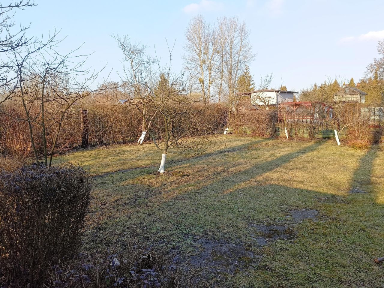 Działka rod Gliwice Sośnica, ul. Władysława Sikorskiego. Zdjęcie 6