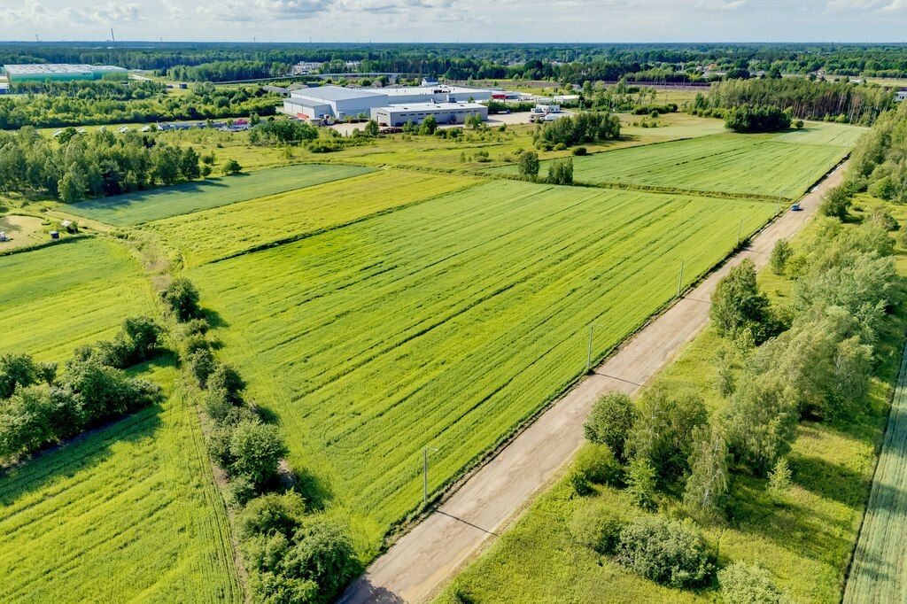 Działka inwestycyjna Duchnów, ul. Spacerowa. Zdjęcie 14