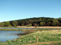 Działka rolna Żydowo. Zdjęcie 1