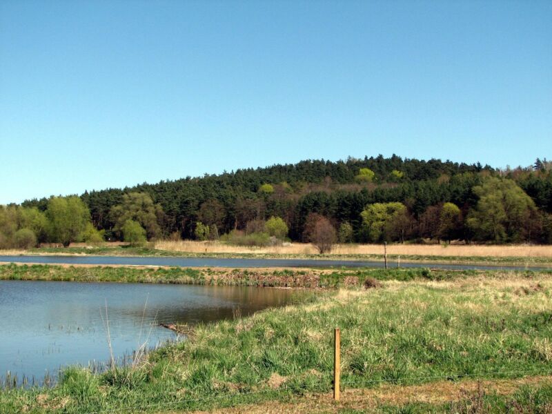 Działka rolna Żydowo. Zdjęcie 2