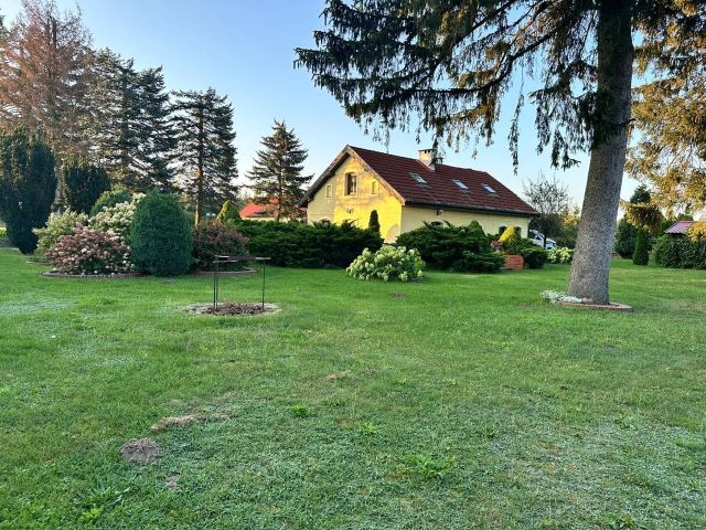 siedlisko Najdymowo. Zdjęcie 21