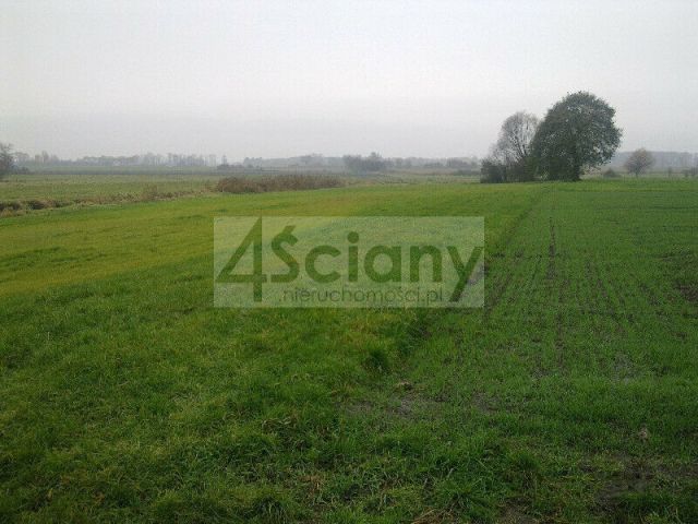 Działka rolno-budowlana Cholewy. Zdjęcie 3