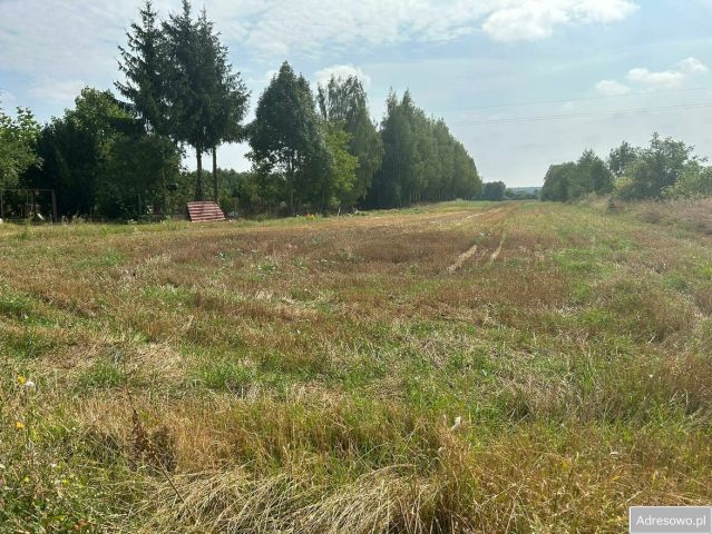 Działka budowlana Wierzbica. Zdjęcie 1