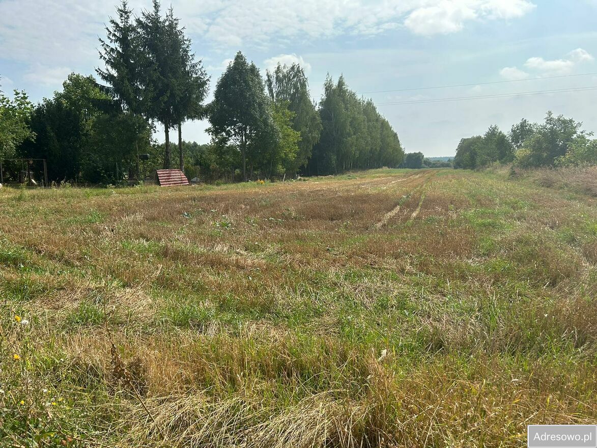 Działka budowlana Wierzbica