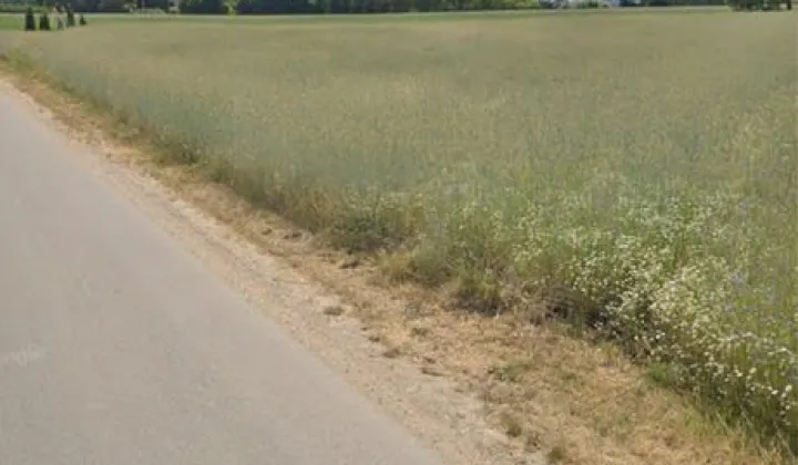 Działka budowlana Poświętne