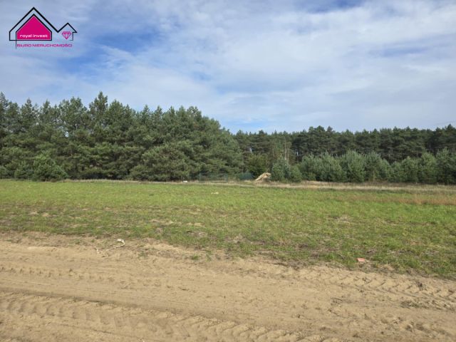 Działka rekreacyjna Adamowo. Zdjęcie 3