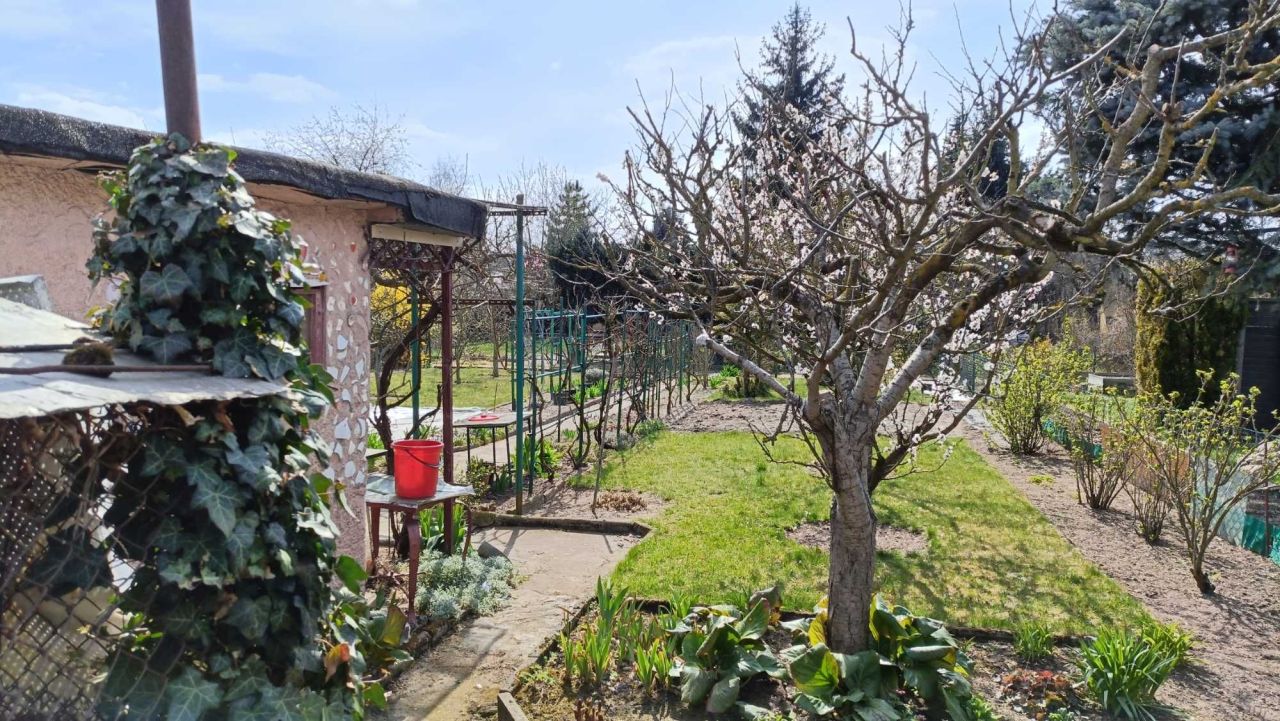 Działka rod Poznań Junikowo, ul. Jana Brzechwy. Zdjęcie 7