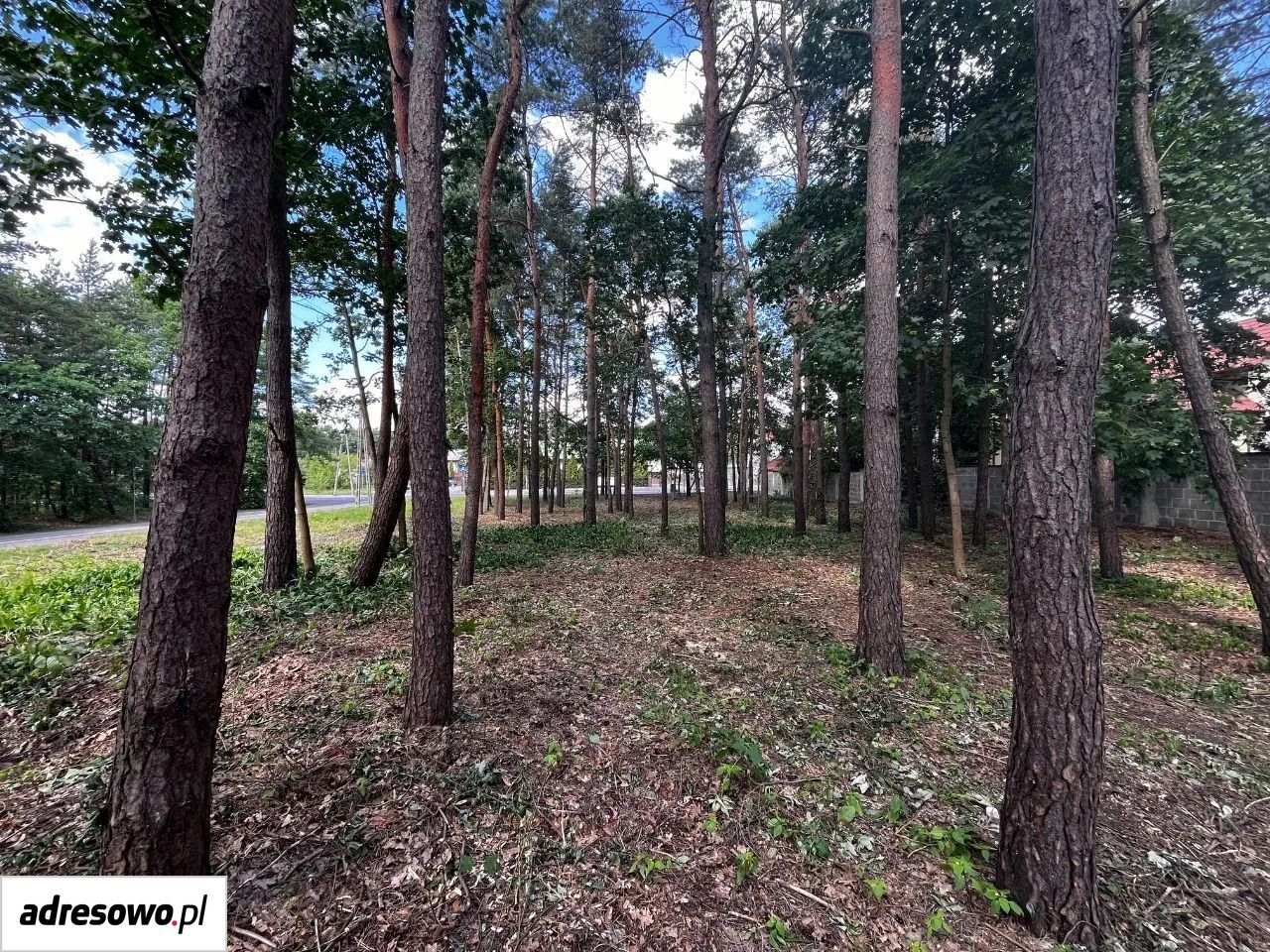 Działka budowlana Legionowo, ul. Aleja Legionów. Zdjęcie 10