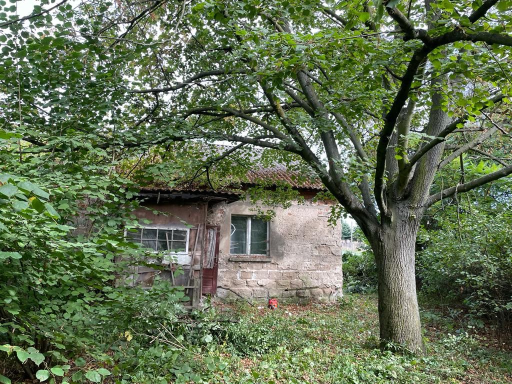 Działka rolno-budowlana Gruszczyce. Zdjęcie 6