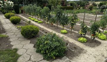 Działka rod Krzywiń