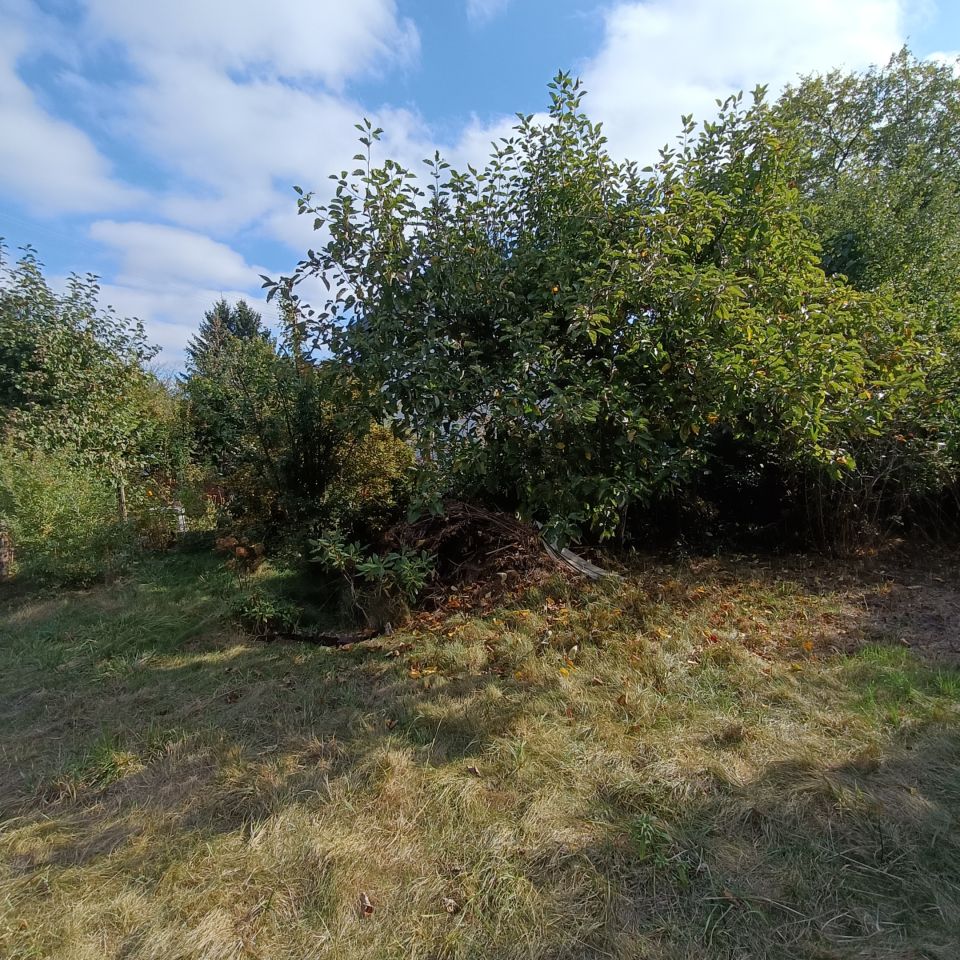 Działka rekreacyjna Warszawa Paluch, ul. Ogrodników. Zdjęcie 6