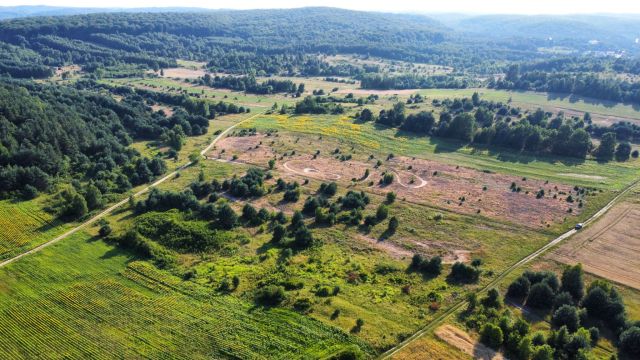 Działka rekreacyjna Złoty Potok. Zdjęcie 5