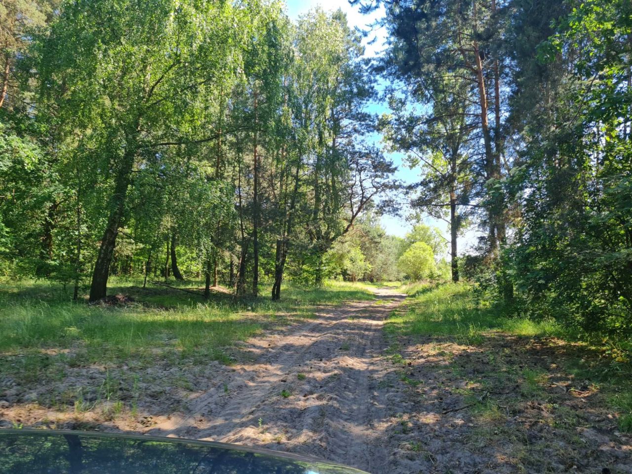 Działka rolna Stok Ruski. Zdjęcie 7