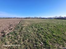 Działka rolna Halickie, Brak. Zdjęcie 3