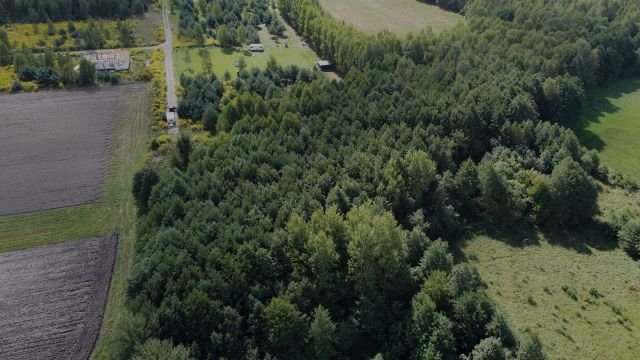 Działka rolno-budowlana Lisowola. Zdjęcie 1