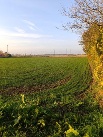 Działka budowlana Stalowa Wola Charzewice, ul. Brandwicka. Zdjęcie 1