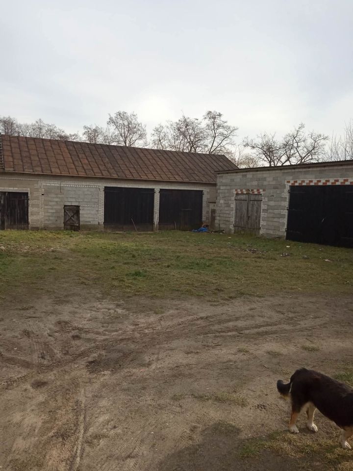 Działka siedliskowa Raszewo Dworskie. Zdjęcie 2