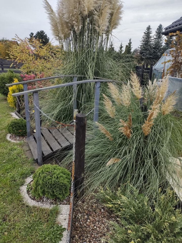 dom wolnostojący, 4 pokoje Kliniska Wielkie, ul. Piękna. Zdjęcie 14