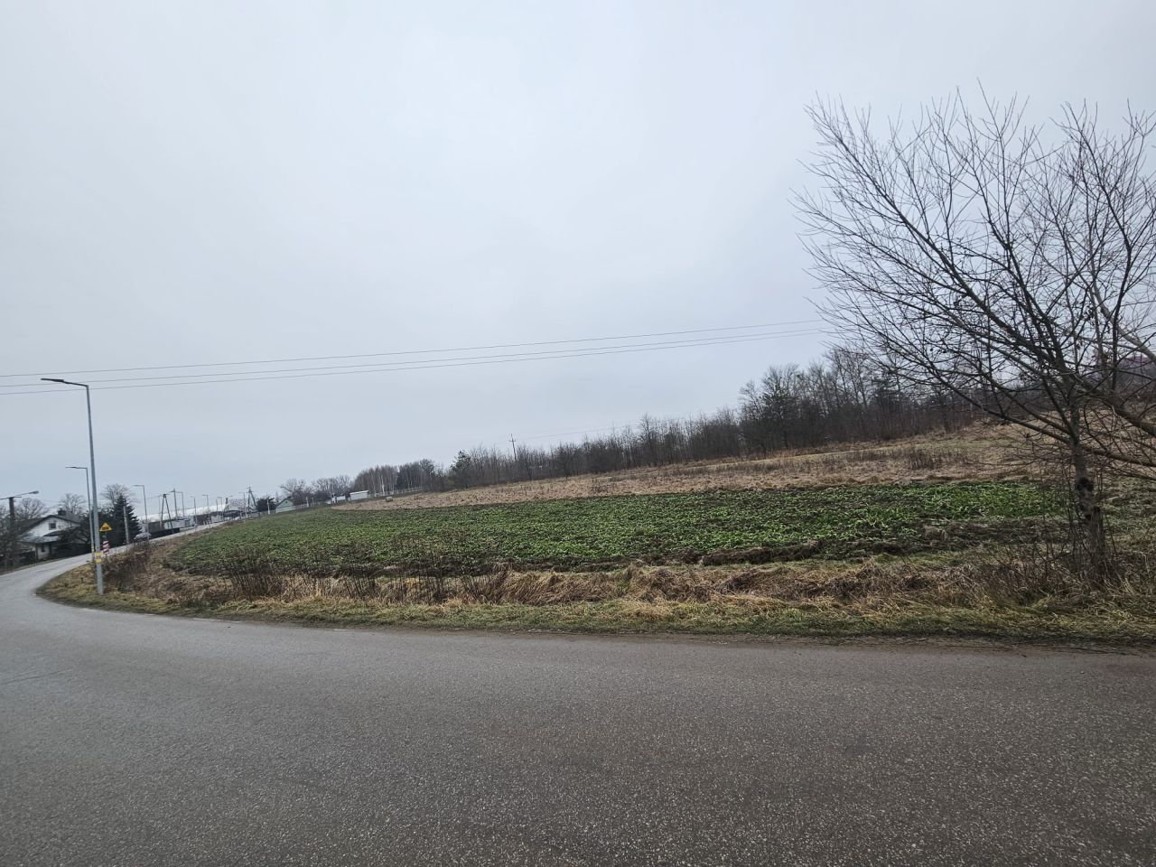 Działka inwestycyjna Mielec Rzochów, ul. Kolejowa. Zdjęcie 6