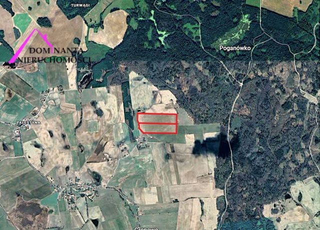 Działka rolna Gronowo. Zdjęcie 10