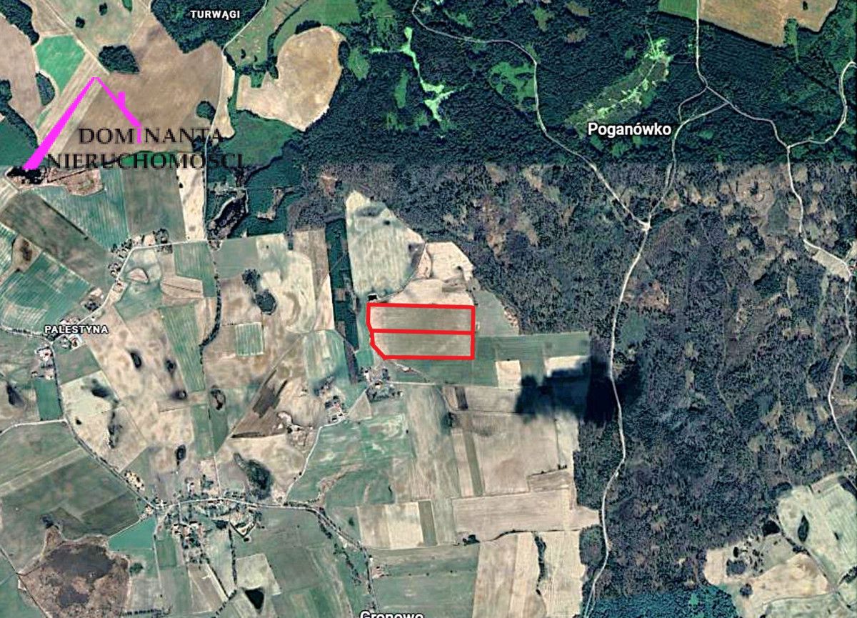 Działka rolna Gronowo. Zdjęcie 10