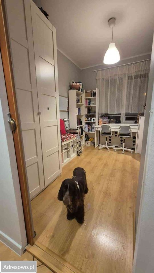 Mieszkanie 2-pokojowe Dąbrowa Górnicza Centrum, ul. Zygmunta Cieplaka. Zdjęcie 9