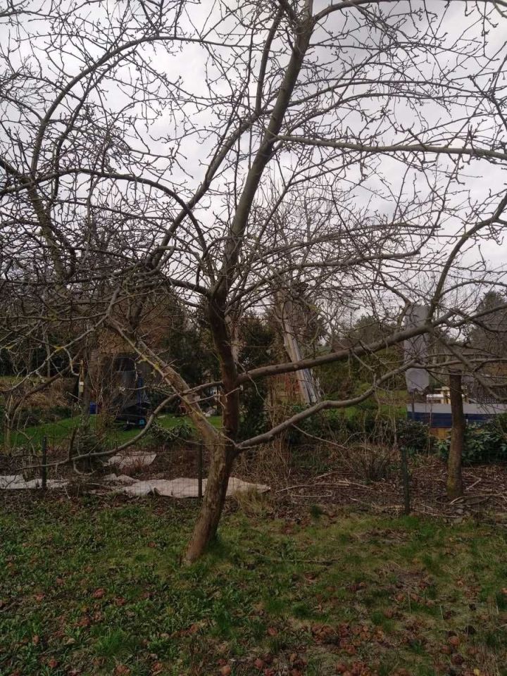 Działka rod Warszawa Ochota. Zdjęcie 2