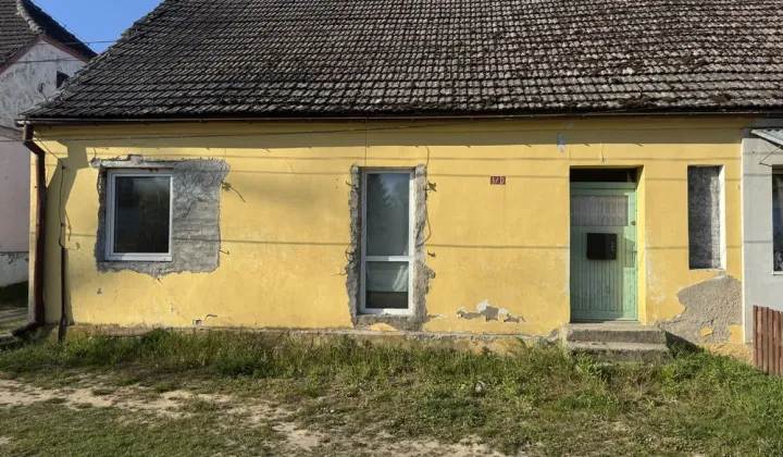 dom szeregowy Ziemomyśl B