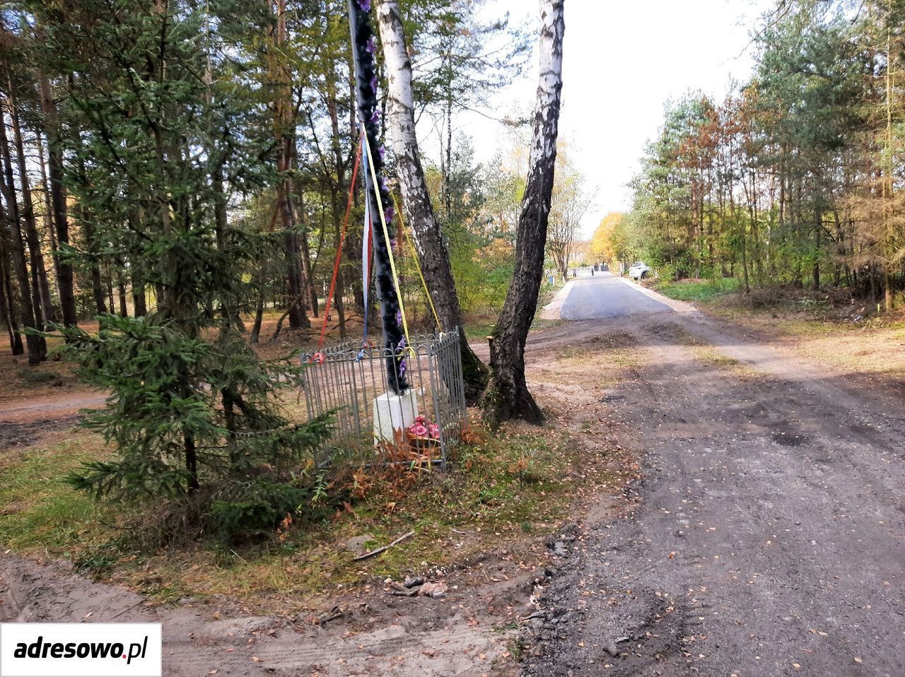 Działka rolna Lefranów. Zdjęcie 10