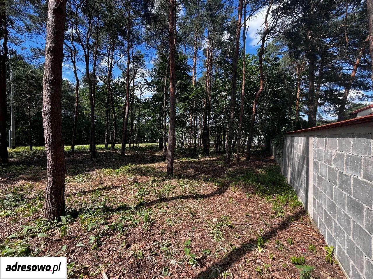 Działka budowlana Legionowo, ul. Aleja Legionów. Zdjęcie 12