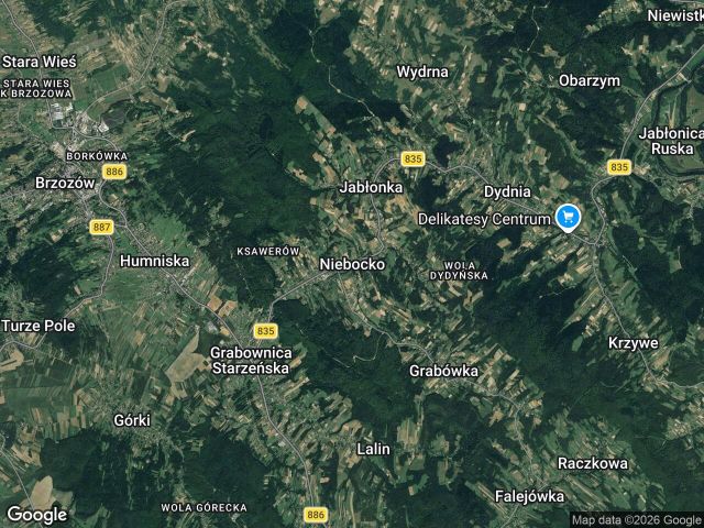 Działka leśna Niebocko. Zdjęcie 1