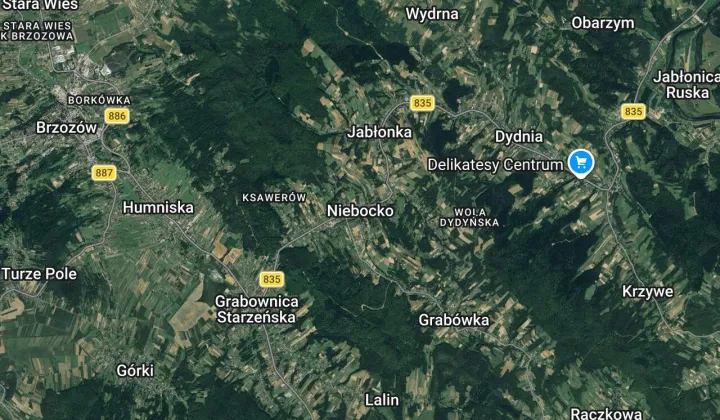 Działka leśna Niebocko