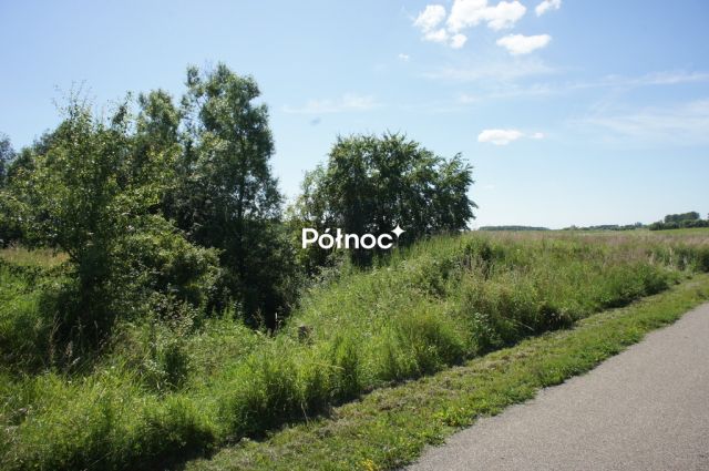 Działka budowlana Koziki. Zdjęcie 8