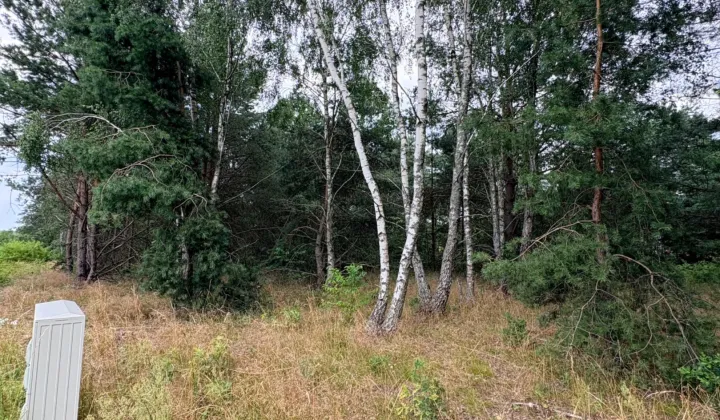 Działka budowlana Skórka