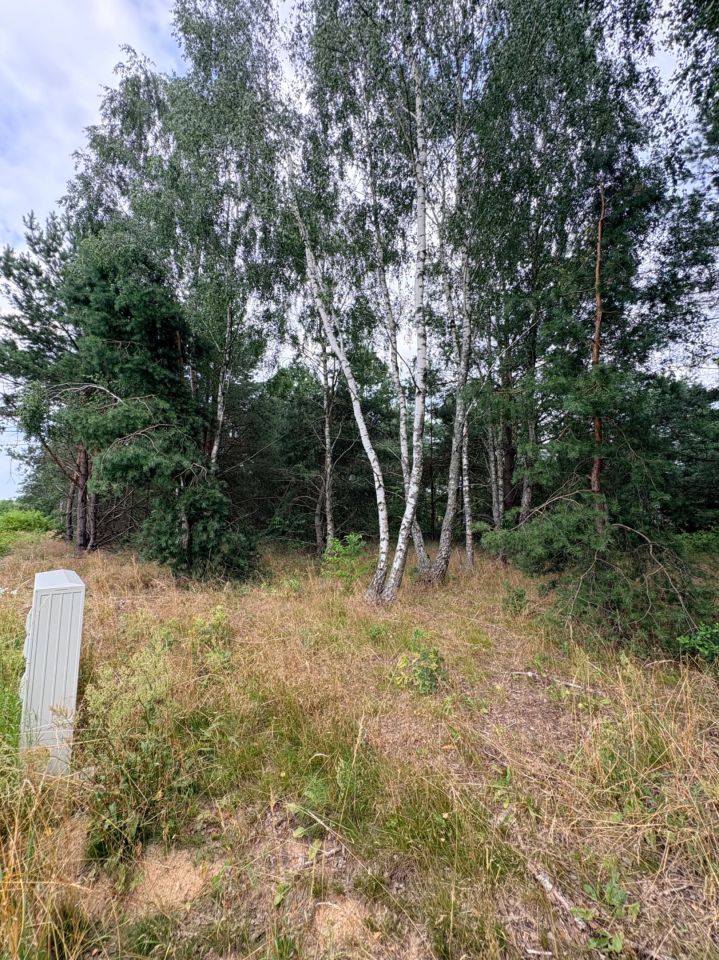 Działka budowlana Skórka. Zdjęcie 1