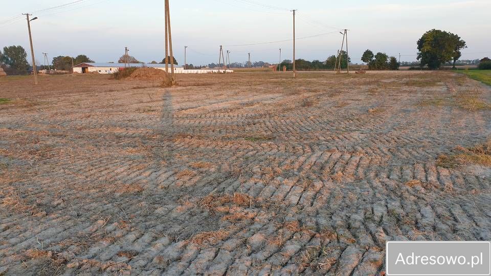 Działka rolna Wola Trębska. Zdjęcie 3