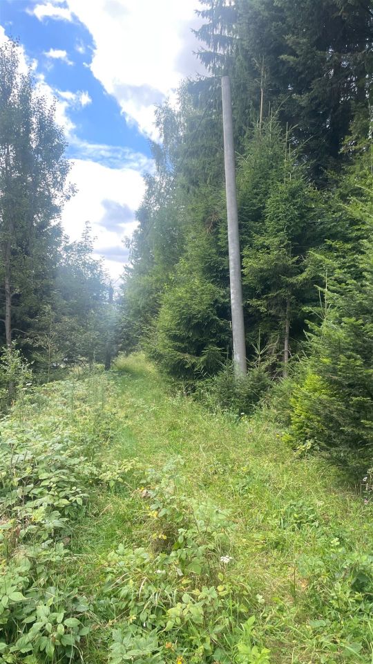 Działka rolna Krynica-Zdrój, ul. Zieleniewskiego. Zdjęcie 5