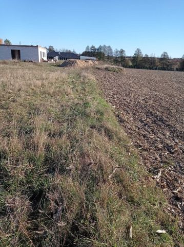 Działka rolno-budowlana Moczadła. Zdjęcie 1