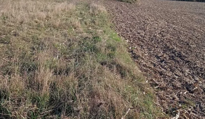 Działka rolno-budowlana Moczadła