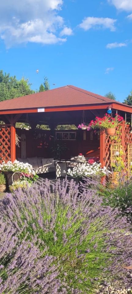 dom wolnostojący, 3 pokoje Kobysewo. Zdjęcie 3