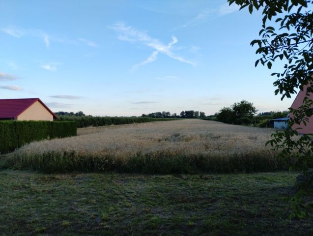 Działka rolna Bogoria. Zdjęcie 1