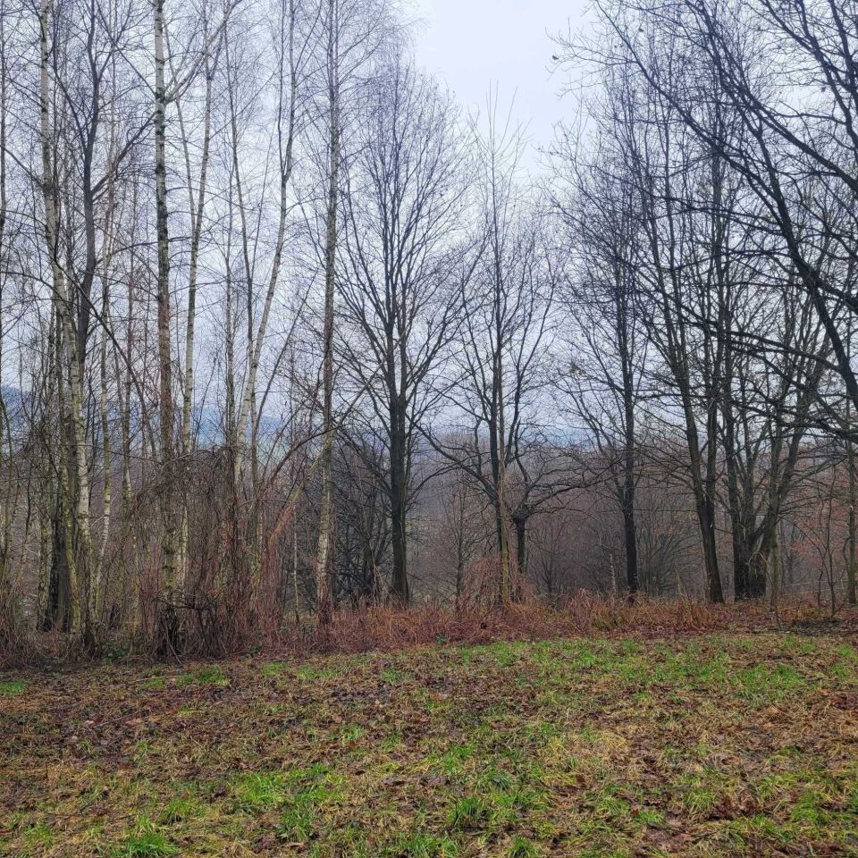 Działka rolno-budowlana Marcyporęba, ul. św. Floriana. Zdjęcie 4