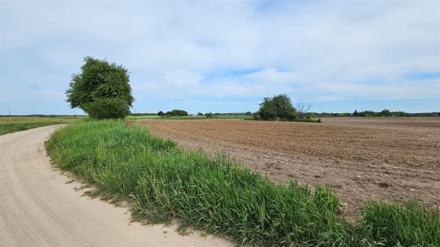 Działka rolna Dziubiele. Zdjęcie 11