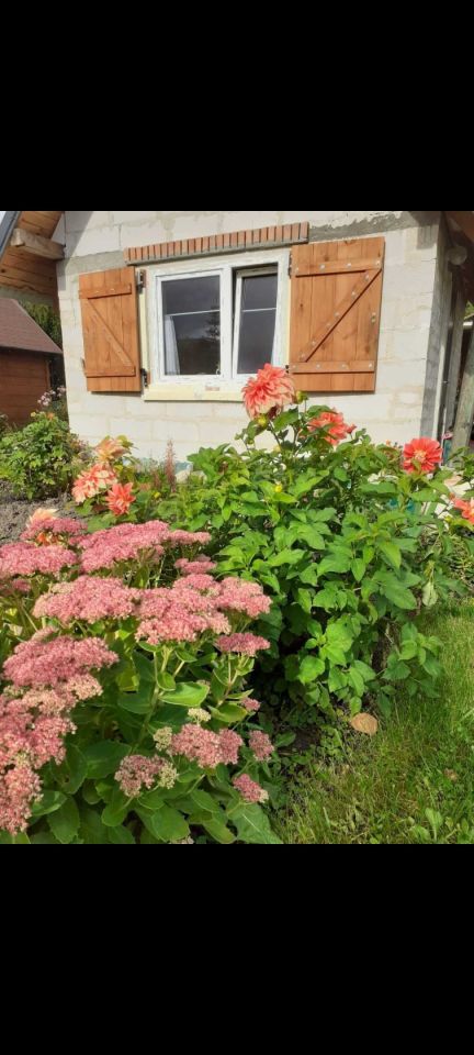 Działka rod Olsztyn. Zdjęcie 7